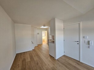 Volledig gerenoveerde studio in hartje Mechelen.