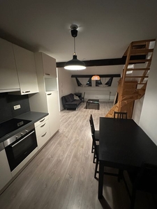 Aangenaam duplex appartement vlak bij EU instellingen