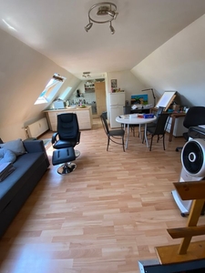 Dakappartement met reuze uitzicht