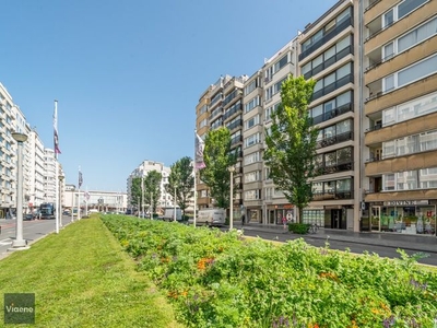 Duplexappartement met Parkzicht en Terras