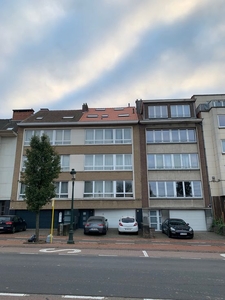 Ruin dakappartement met veel natuurlijke lichtinval