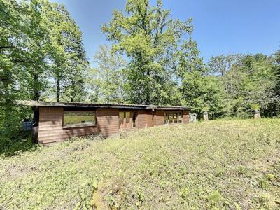 Chalet dans un cadre verdoyant