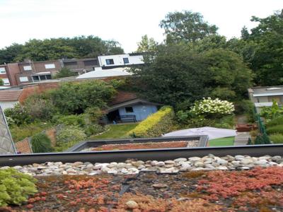 Gelijkvloersappartement met ruime tuin en terras