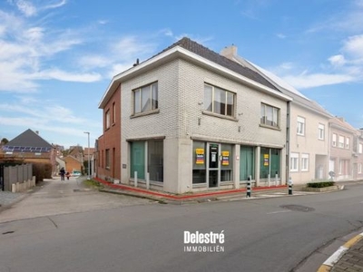 ERG RUIME (HANDELS)WONING CENTRUM APPELTERRE