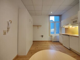 kamer/studio in fraai herenhuis met eigen keuken en badkamer