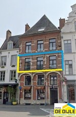 Ruime studio van ca 48m² pal in het centrum van Leuven