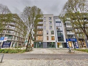 Unieke energiezuinigec penthouse nabij het MAS