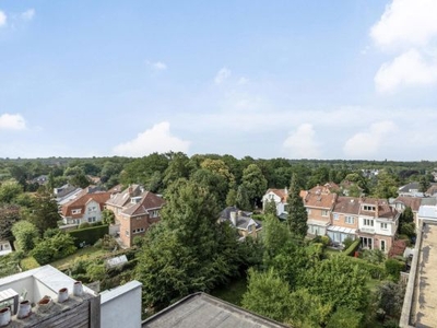 Rue au bois 311, 1150 Sint-Pieters-Woluwe, Woluwe-Saint-Pierre