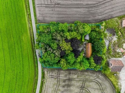 WONING IN HET GROEN