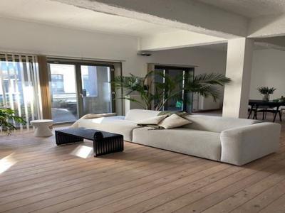 Ruime, lichtrijke en bemeubelde duplex loft te huur