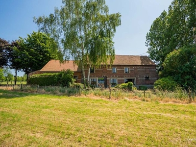 Te renoveren boerderij op ca. 2,5ha