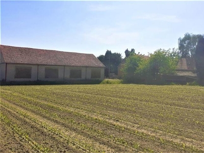 TE RENOVEREN HOEVE WONING, LOSSTAAND BIJGEBOUW EN HANGAR OP