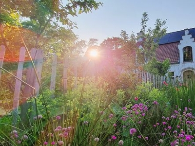 Uitzonderlijke parel in het groen