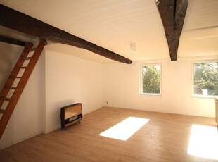 APPARTEMENT UNE CHAMBRE AVEC MEZZANINE