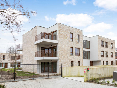 Nieuwbouw studio in de dorpskern van Oud-Turnhout