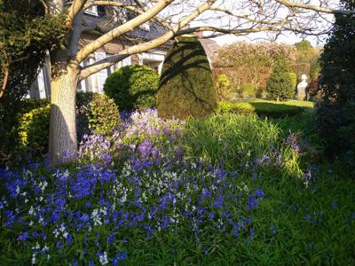 Prachige, ruime villa met grote loods/werkplaats en tuin