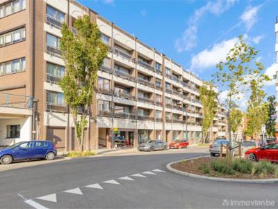 Prins albertlaan 57 501, 3800 Sint-Truiden