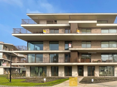 Nieuwbouw appartement te huur in Loppem