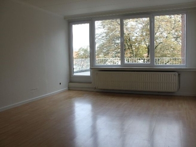 gerenoveerd 1-slaapkamer dakappartement met groot terras