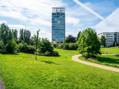 Moderne kantoren met panoramisch uitzicht