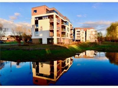 Nieuwbouw appartement te huur in Eeklo