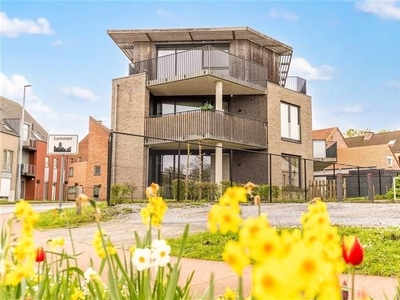 Knap appartement met 2 slpks en 2 terrassen in Lummen