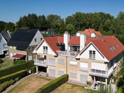 Prachtige Loft met 3 slpks & dubbel terras in hartje Mol....