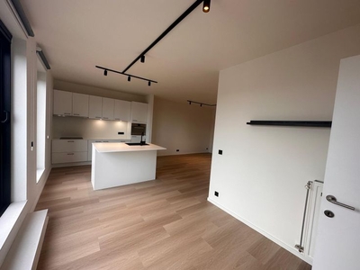 lichtrijk penthouse te Antwerpen-noord