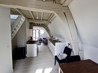 Tof appartement met loft in centrum Antwerpen