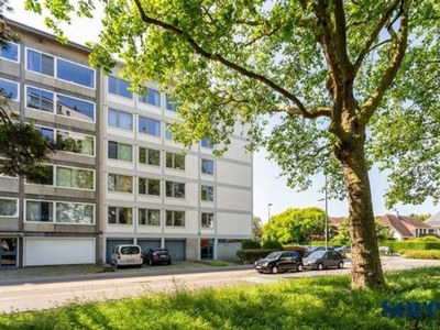 Ruim en lichtrijk hoek-appartement ca. 129m² te Wilrijk