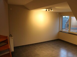 Lichtrijk duplex-appartement