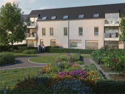 Nieuwbouw project te koop in Oudenaarde