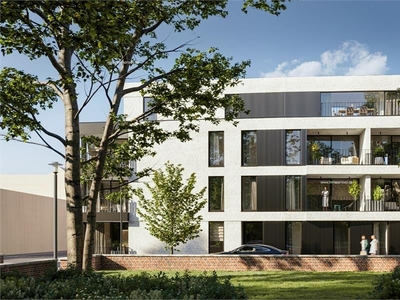 Nieuwbouw penthouse te koop in Willebroek