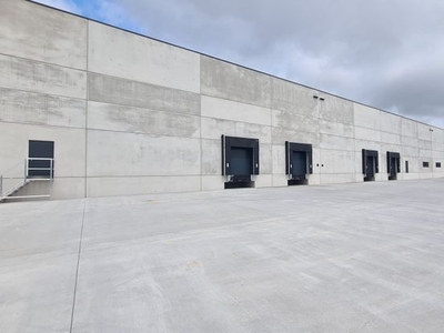 MANAGE LOGISTICS 5.000 m² _ opsplitsbaar vanaf ± 2.500 m²