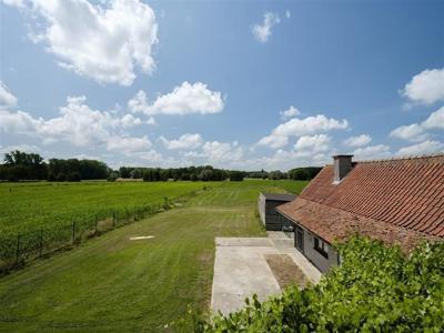 Karaktervolle hoeve met weilanden in agrarisch gebied