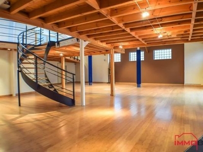 Duplex/Loft de 220m², 2 chambres et garage