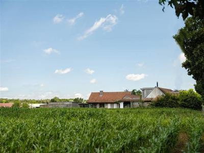 Hoeve met bijgebouwen in agrarisch gebied