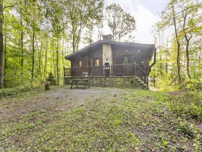 Vakantiechalet in het hart van het bos