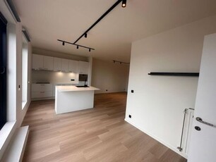 lichtrijk penthouse te Antwerpen-noord