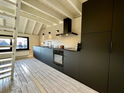 Duplex penthouse met groot zuidgericht terras