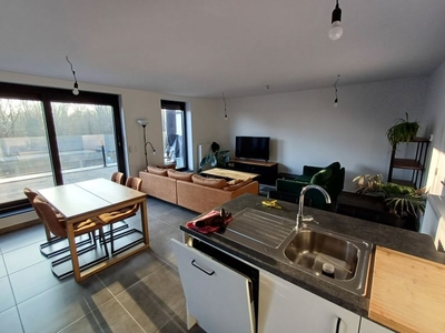 Recent éénslaapkamerappartement met groot terras