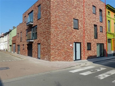 Energiezuinige nieuwbouwwoning met 4 slaapkamers