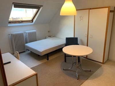 Cosy en zeer ruime stdentenkamer