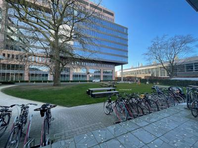 Kantoren te huur in Uco Toren Gentbrugge