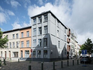 Centrum Gent - Kwalitatieve studio's aan de Oude Beestenm...