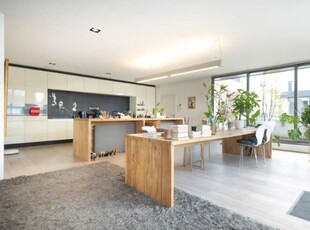 Prachtige loft met een zeer groot terras!