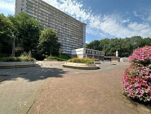 Schitterende studio met terras op het zuiden en gedeelde bin