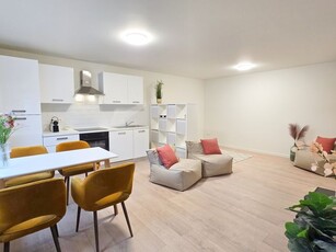 Volledig gerenoveerde Studio te huur in Gent