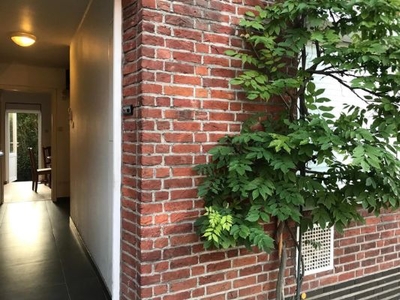 Charmante woning met leuke tuin en zuidwest-gericht terras: BEZOEKMOMENT ZIT VOL