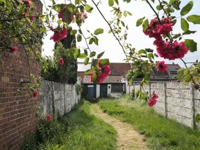 Gezellige te renoveren woning met mooie tuin in Sint-Amandsb